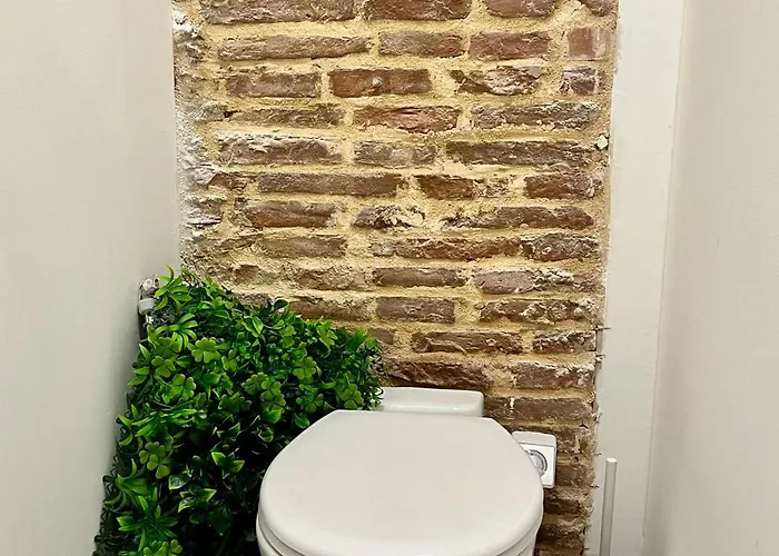 Apartamento La Cave Toulousaine